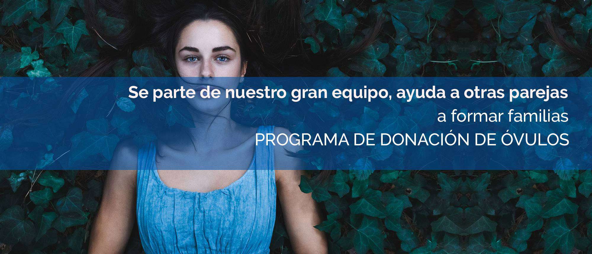 Programa de donacion de ovulos