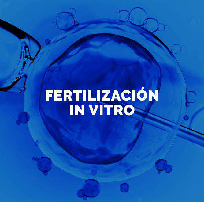 tratamiento fertilizacion in vitro