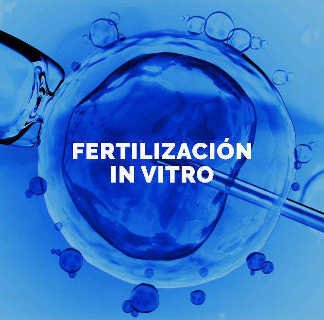 tratamiento fertilizacion in vitro