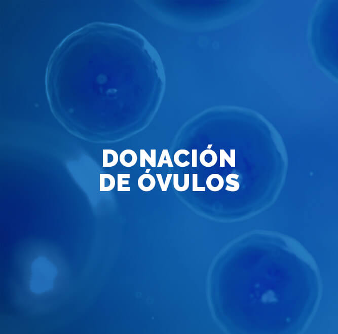 tratamientodonacion de ovulos